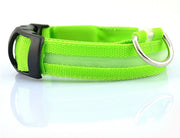 Nylon LED Pet Dog Luminous Collar Night Safety Flashing Glow