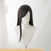 Cosplay Wig Fake Hair