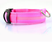 Nylon LED Pet Dog Luminous Collar Night Safety Flashing Glow