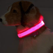 Nylon LED Pet Dog Luminous Collar Night Safety Flashing Glow