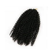 African wig short curly hair