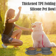 Double Bowl Pet Feeding Bowl Pets Supplies Dog Cat Bowls