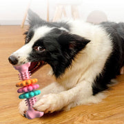 Dog Chew Toy Indestructible Dog Bone